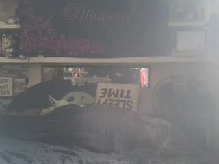 LushDiamonds