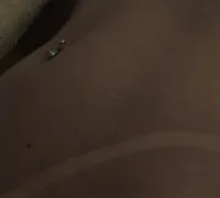 FadaPerigosa